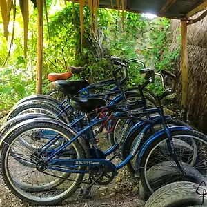  Gasthof Guarumbo Mexiko